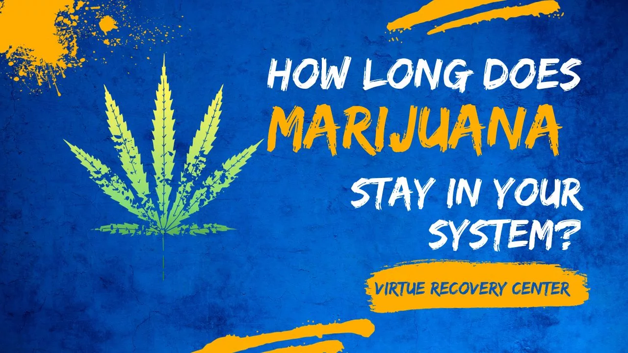 How Long Does Marijuana Stay in Your System (Weed) Key Facts Virtue Recovery Center