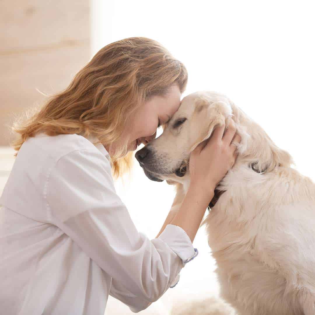   Pet Friendly Rehab Center That Allows Cats And Dogs Woman Embracing Her Dog