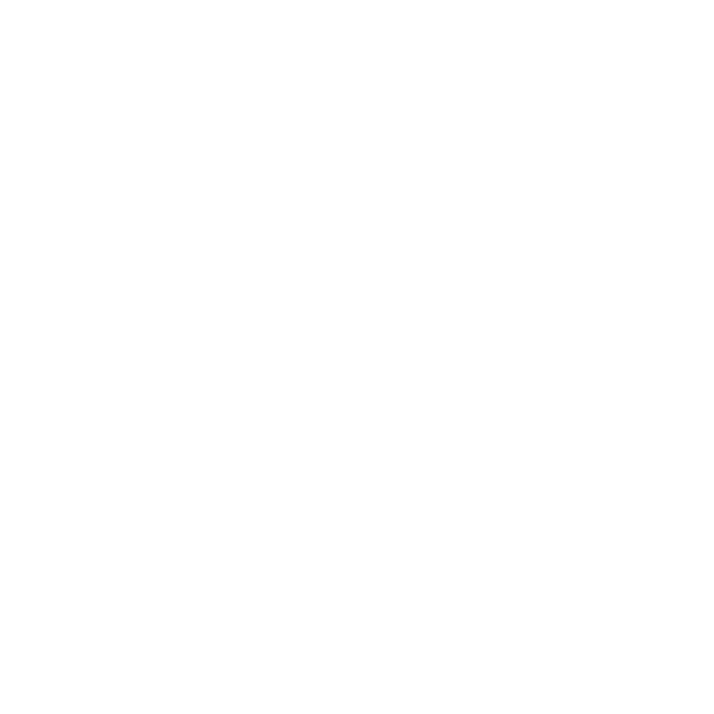  White Icon
