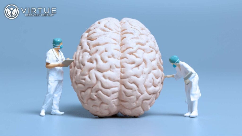 How Does The Use of Cannabis Marijuana Affect Brain Function - Virtue Recovery Center How Does The Use of Cannabis Marijuana Affect Brain Function