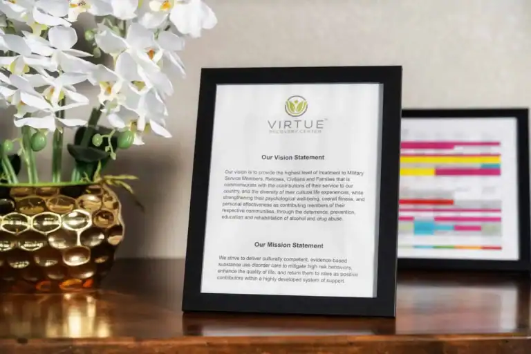 LICENSE VirtueRecoveryAerial2