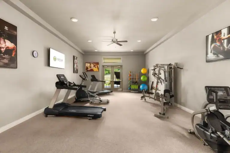 LICENSE VirtueRecoveryAerial24