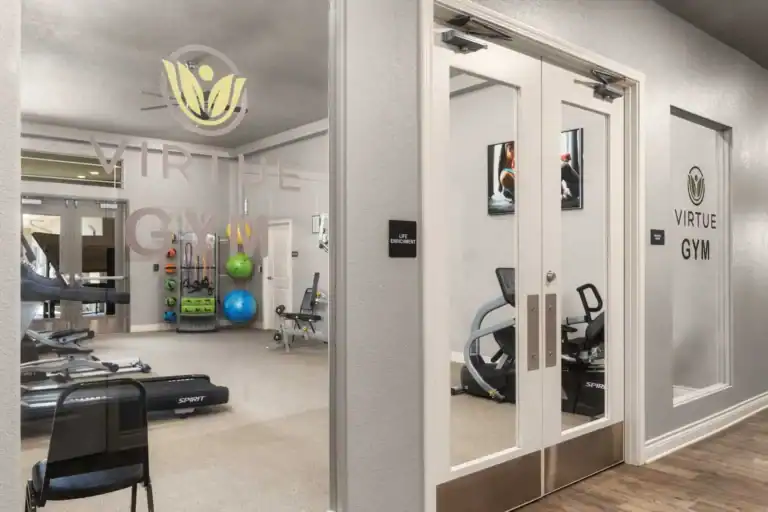 LICENSE VirtueRecoveryAerial32