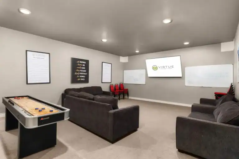 LICENSE VirtueRecoveryAerial33