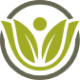 virtue logo min 1